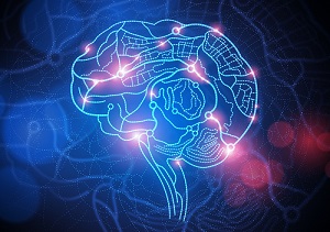 Understanding the Brain-Behavior Connection